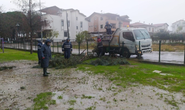 Ordu Büyükşehrin fırtına mesaisi