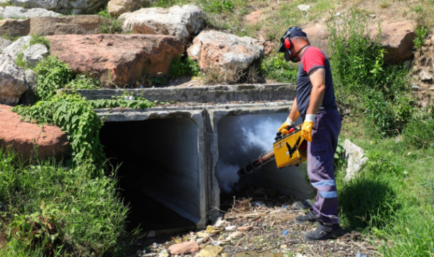 Ordu Büyükşehir vektörlere karşı savaşını sürdürüyor