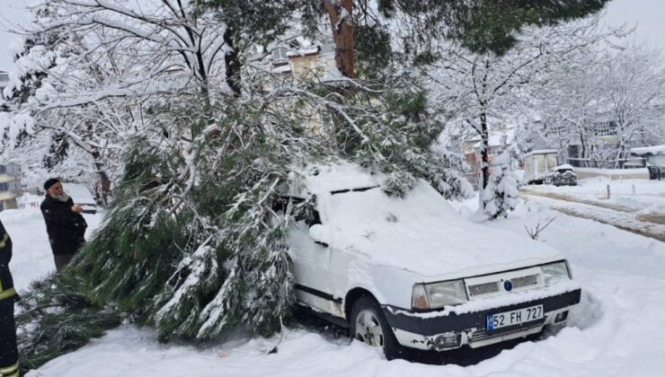 Ordu Büyükşehir itfaiyesi sahada